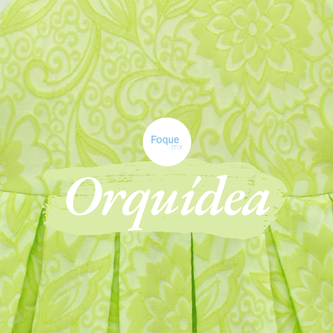 Orquidea